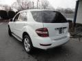 Arctic White - ML 350 4Matic Photo No. 12