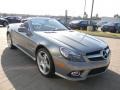 Paladium Silver Metallic - SL 550 Roadster Photo No. 3
