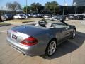 Paladium Silver Metallic - SL 550 Roadster Photo No. 5