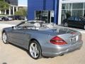 Paladium Silver Metallic - SL 550 Roadster Photo No. 8
