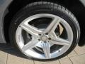 Paladium Silver Metallic - SL 550 Roadster Photo No. 10