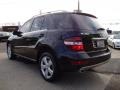 Black - ML 350 4Matic Photo No. 5