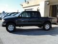 2004 Black Sand Pearl Toyota Tacoma V6 Double Cab 4x4  photo #4