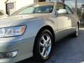 Millennium Silver Metallic - ES 300 Sedan Photo No. 8
