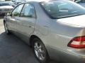 Millennium Silver Metallic - ES 300 Sedan Photo No. 9