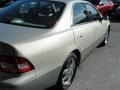 Millennium Silver Metallic - ES 300 Sedan Photo No. 10
