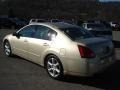 Champagne Mist Metallic - Maxima 3.5 SE Photo No. 6