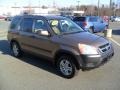 Mojave Mist Metallic - CR-V EX 4WD Photo No. 3