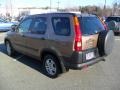 Mojave Mist Metallic - CR-V EX 4WD Photo No. 4