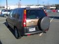 Mojave Mist Metallic - CR-V EX 4WD Photo No. 5