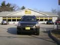 2007 Smokey Brown Kia Sportage LX  photo #3