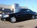 Nighthawk Black Pearl - RL 3.5 Photo No. 2