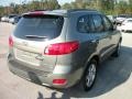 2009 Natural Khaki Hyundai Santa Fe Limited  photo #4