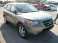 2009 Natural Khaki Hyundai Santa Fe Limited  photo #6