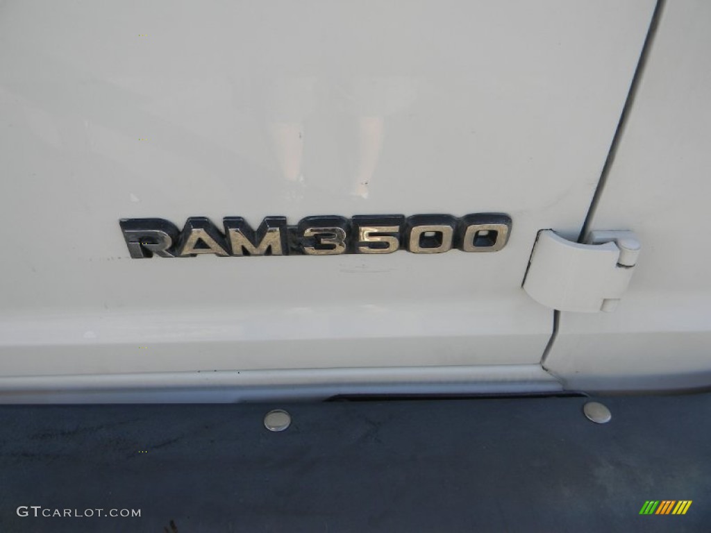 2000 Ram Van 3500 Passenger Wheelchair Access - Bright White / Mist Gray photo #5