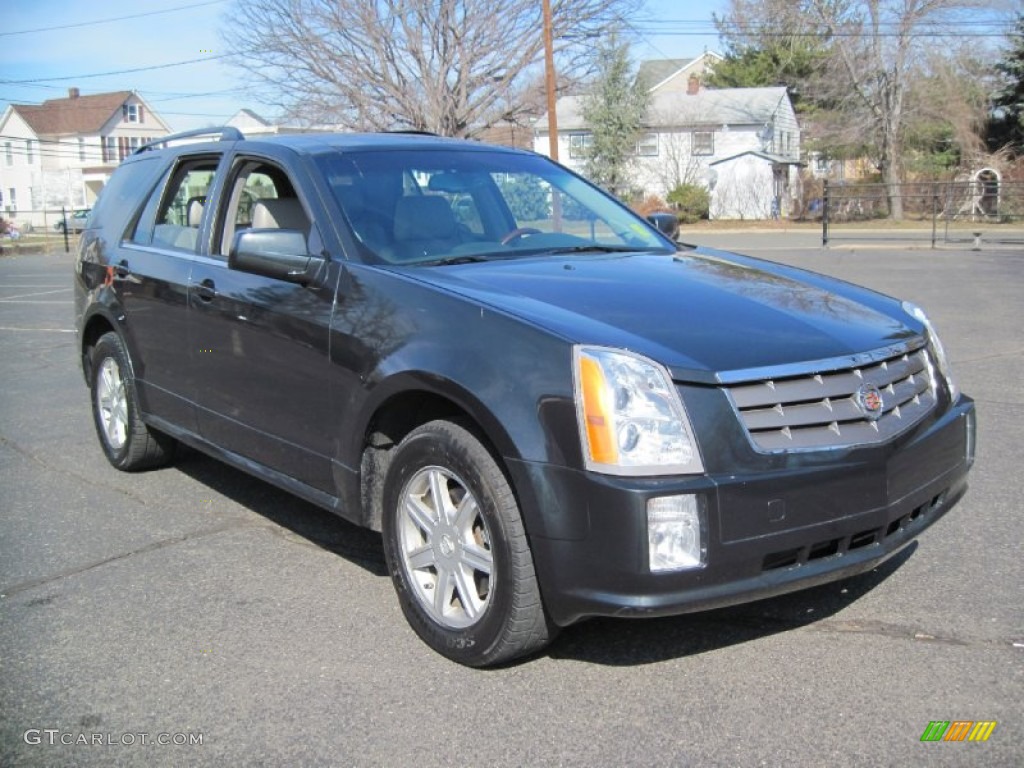 2004 SRX V6 - Moonstone Metallic / Light Gray photo #11