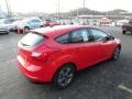 2012 Race Red Ford Focus SE Sport 5-Door  photo #4