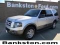Ingot Silver Metallic 2012 Ford Expedition XLT Sport