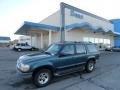 1996 Medium Willow Green Metallic Ford Explorer XLT 4x4  photo #1