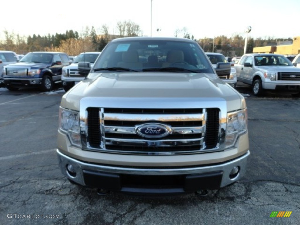 2012 F150 XLT SuperCrew 4x4 - Pale Adobe Metallic / Pale Adobe photo #6