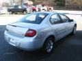 Bright Silver Metallic - Neon SXT Photo No. 5