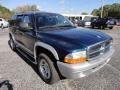 2003 Patriot Blue Pearlcoat Dodge Durango SLT  photo #12