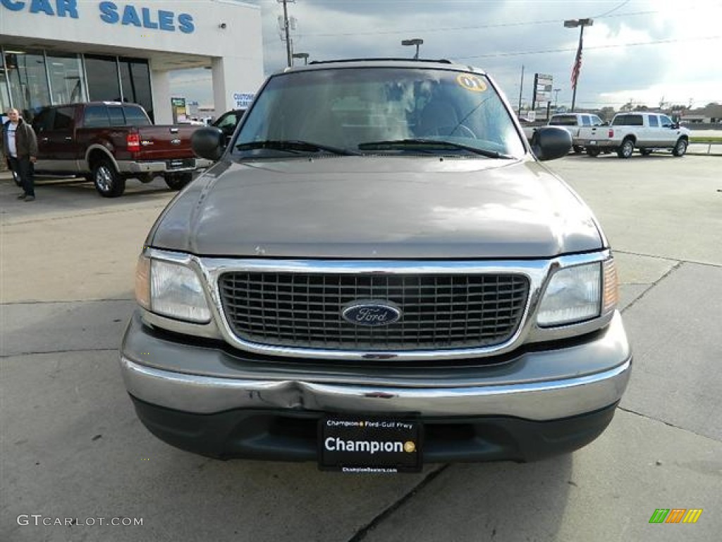 2001 Expedition XLT - Arizona Beige Metallic / Medium Parchment photo #2