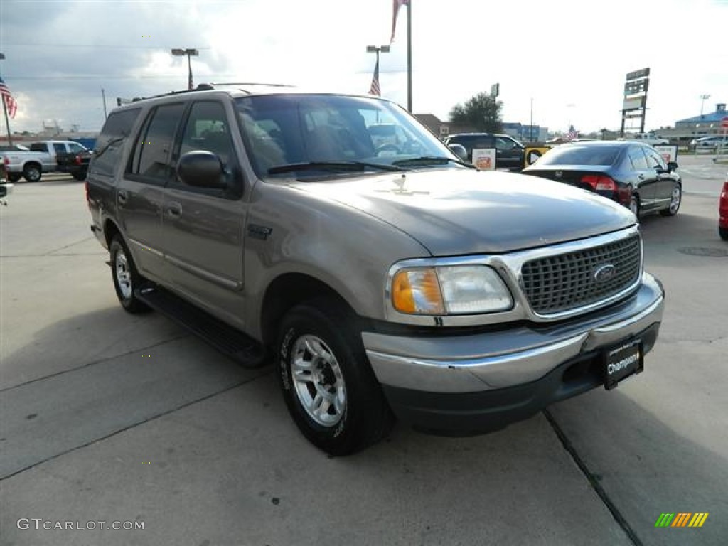 2001 Expedition XLT - Arizona Beige Metallic / Medium Parchment photo #3