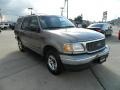Arizona Beige Metallic - Expedition XLT Photo No. 3
