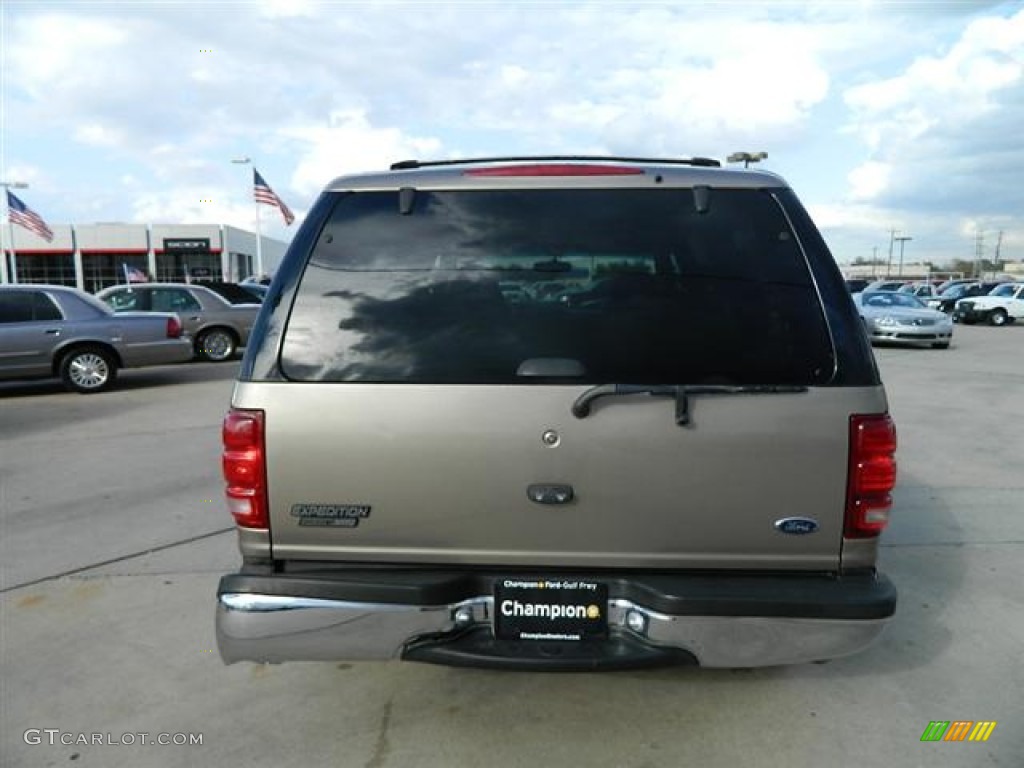 2001 Expedition XLT - Arizona Beige Metallic / Medium Parchment photo #6