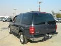 Medium Wedgewood Blue Metallic - Expedition XLT Photo No. 7