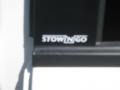 Stone White - Grand Caravan SXT Photo No. 9