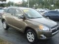 Pyrite Metallic - RAV4 Limited Photo No. 1