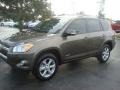 Pyrite Metallic - RAV4 Limited Photo No. 3