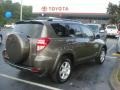 Pyrite Metallic - RAV4 Limited Photo No. 7
