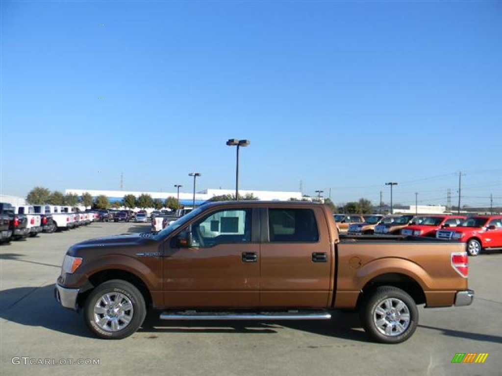 2011 F150 XLT SuperCrew - Golden Bronze Metallic / Pale Adobe photo #8