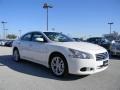 Winter Frost White - Maxima 3.5 SV Photo No. 3