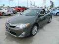 Cypress Green Pearl - Camry XLE Photo No. 1