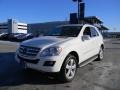 Arctic White - ML 350 4Matic Photo No. 6