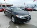 Cosmic Gray Mica - Camry LE Photo No. 1