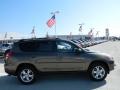 2011 Pyrite Metallic Toyota RAV4 I4  photo #4