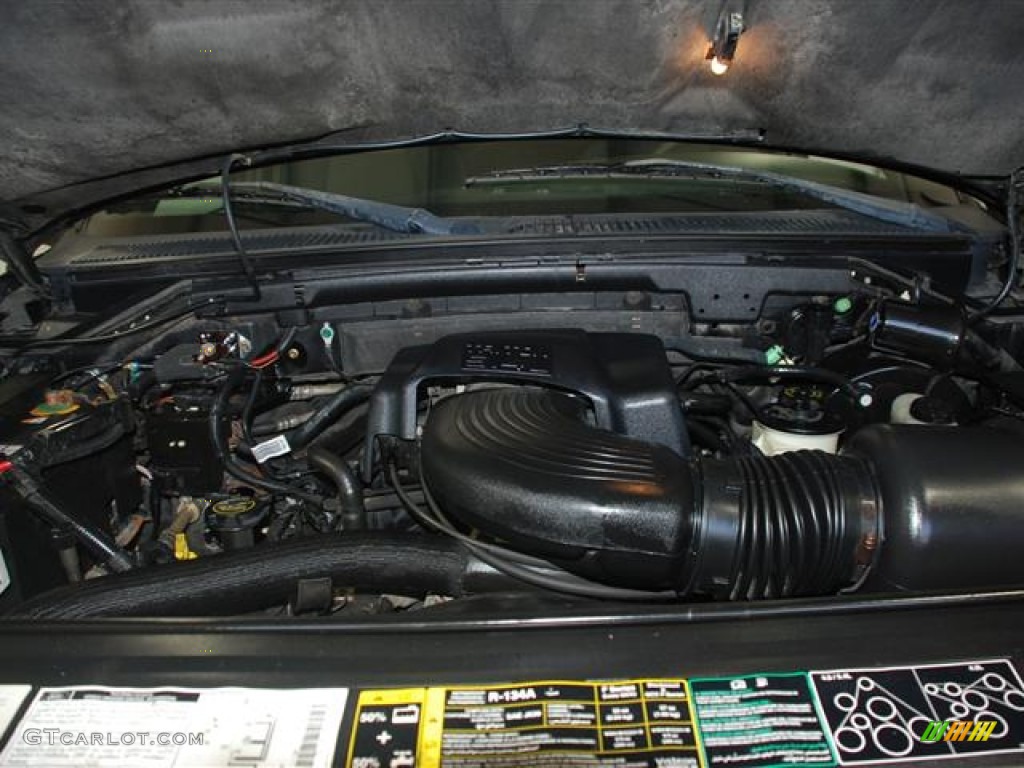 2002 Ford F150 FX4 SuperCrew 4x4 5.4 Liter SOHC 16V Triton V8 Engine Photo #59372469