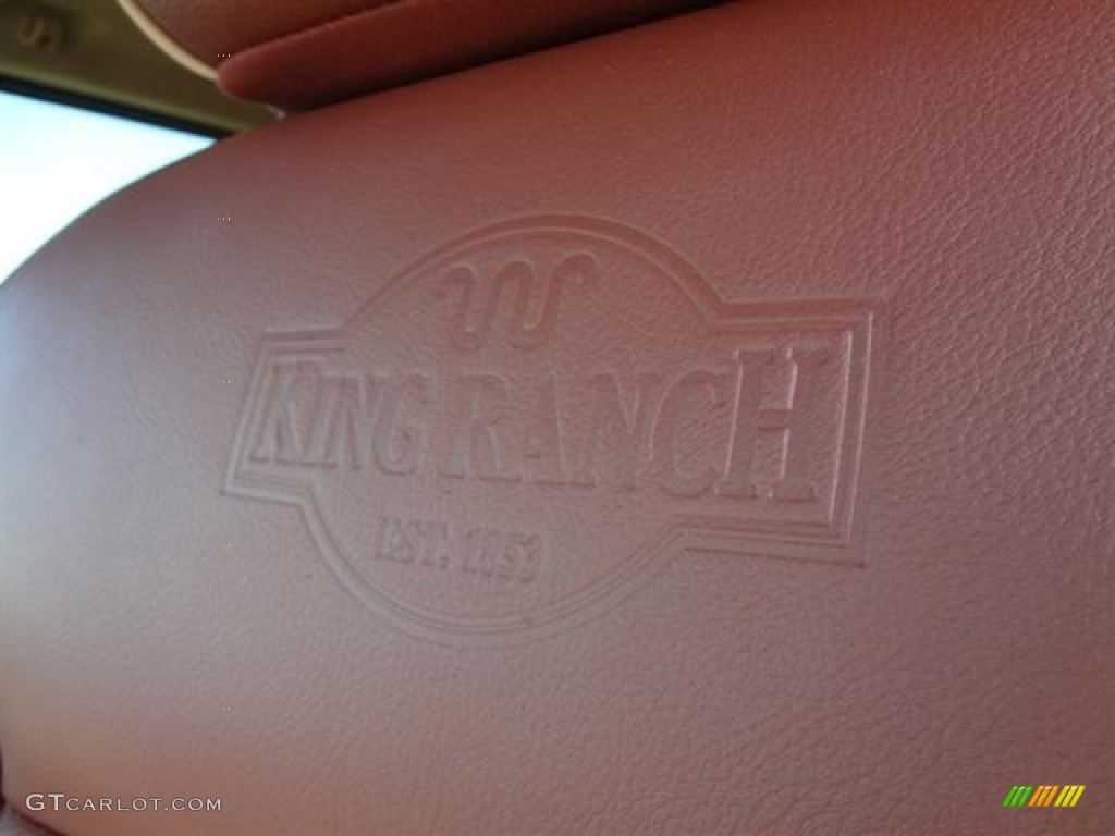 2012 F150 King Ranch SuperCrew 4x4 - Golden Bronze Metallic / King Ranch Chaparral Leather photo #19