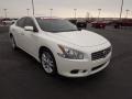 Winter Frost White - Maxima 3.5 SV Photo No. 3