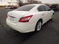 Winter Frost White - Maxima 3.5 SV Photo No. 5