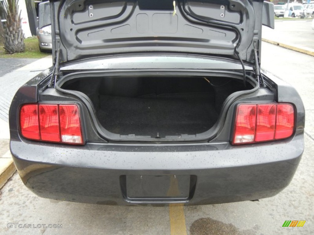 2007 Mustang V6 Deluxe Coupe - Alloy Metallic / Dark Charcoal photo #4