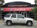 2007 Silverstone Metallic Chevrolet TrailBlazer LS  photo #1