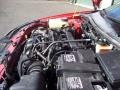 Infra-Red - Focus ZX5 SES Hatchback Photo No. 12