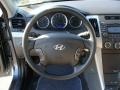 2010 Hyundai Sonata Gray Interior Steering Wheel Photo