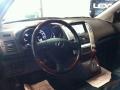 Black Onyx - RX 400h AWD Hybrid Photo No. 9